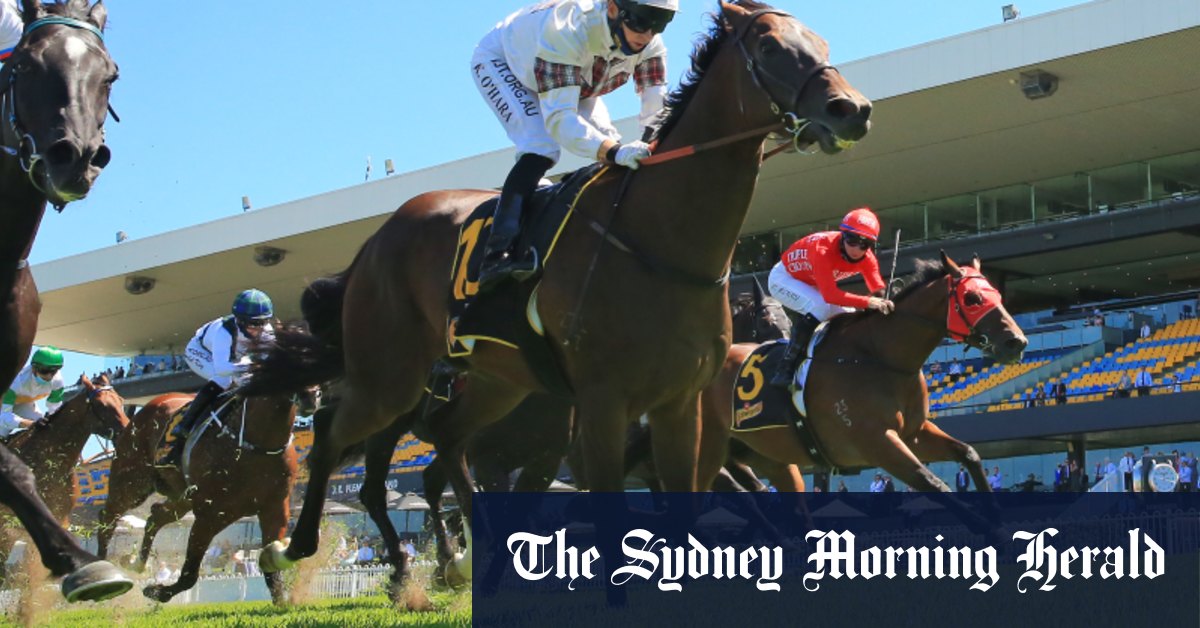 Race-by-race preview and tips for Kembla on Saturday