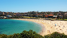 The recent shark attack at Sydney's Coogee Beach is hard to comprehend.