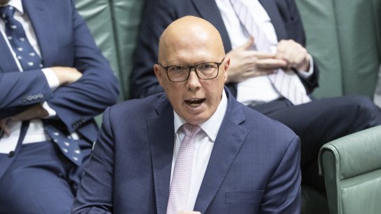 Opposition Leader Peter Dutton and Prime Minister Anthony Albanese during Question Time at Parliament House in Canberra on Thursday.