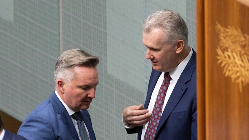A very Labor wedding: Advisers to Tony Burke and Chris Bowen tie the knot