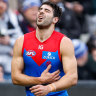 A day of insult and injury as Dees lose Petracca and King’s Birthday blockbuster