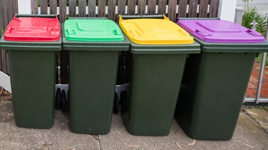 Reduce, recycle, re-puce: The new purple-top bin will be for glass recycling.