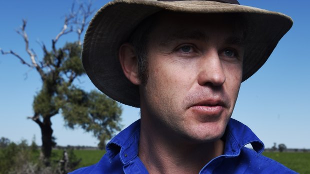 'Too little too late': Farmers welcome rain but much more needed