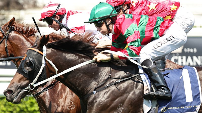 Race-by-race preview and tips for Saturday’s meeting at Rosehill