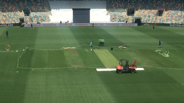 Green tinge ... The Blundstone Arena pitch on Wednesday. The ground’s first Ashes Test starts on Friday.
