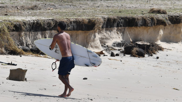 A surfer walks near beach erosion at Kirra on the Gold Coast on Saturday.
