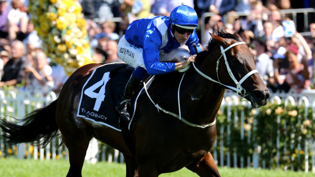 Unbeaten: Hugh Bowman rides Winx to victory in the George Ryder Stakes.