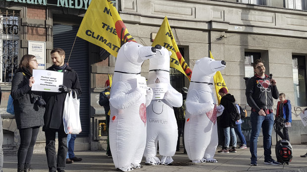 Activists dressed in polar bear costumes protest on the sidelines of the COP24 climate talks now taking place in the Polish city of Katowice.