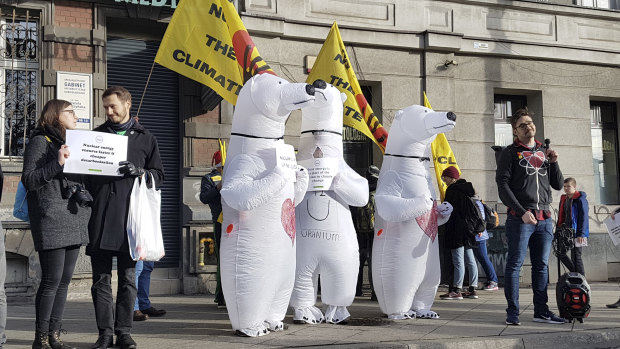Activists dressed in polar bear costumes call for nuclear energy to replace fossil fuels on the sidelines of a climate march in Katowice on Saturday.