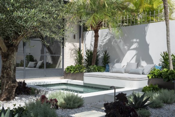 The award winner for best pool and landscaping, in Paddington, NSW. 