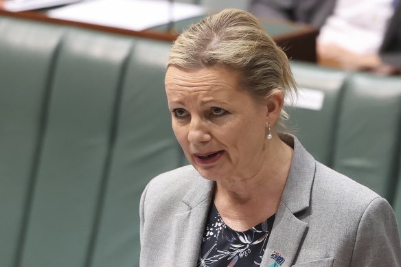Environment Minister Sussan Ley. 