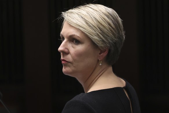 On the attack: Shadow education minister Tanya Plibersek. 