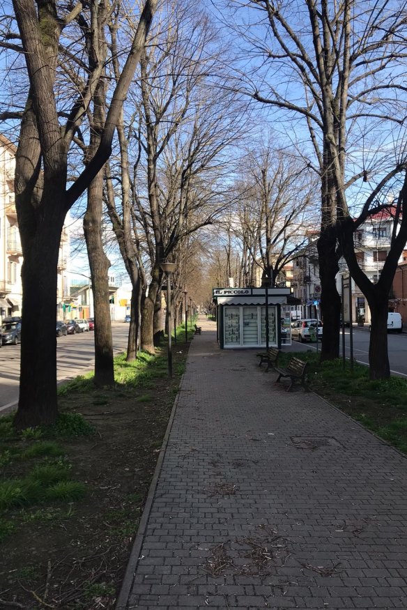 The empty main street of Alessandria.