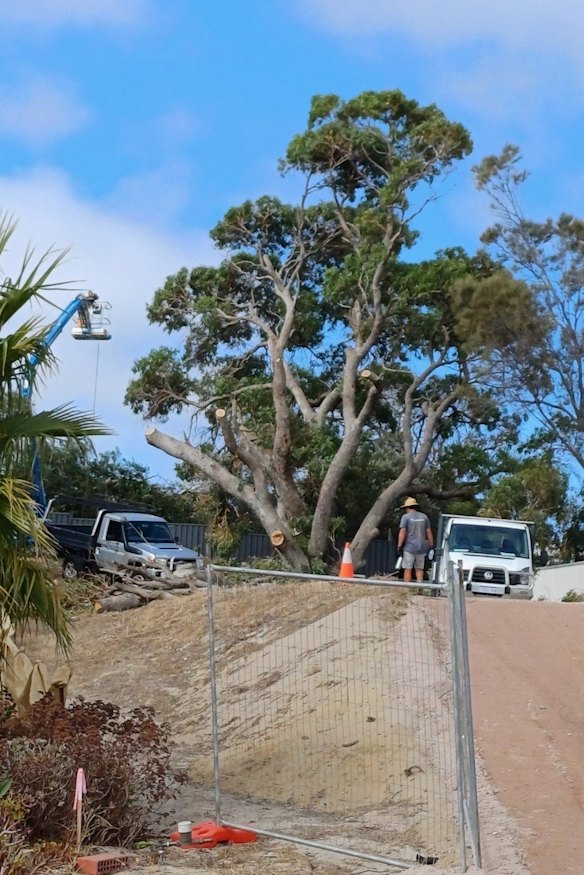 WA news headlines from Friday 1st August 2025: Perth property prices ...