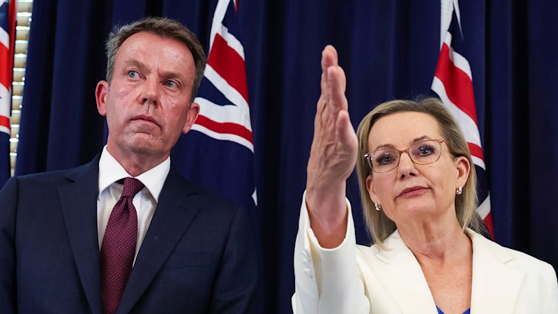 Liberalni energetski načrt širši od pariškega sporazuma, ne pa nujno usmerjen v neto ničelno stopnjo emisij