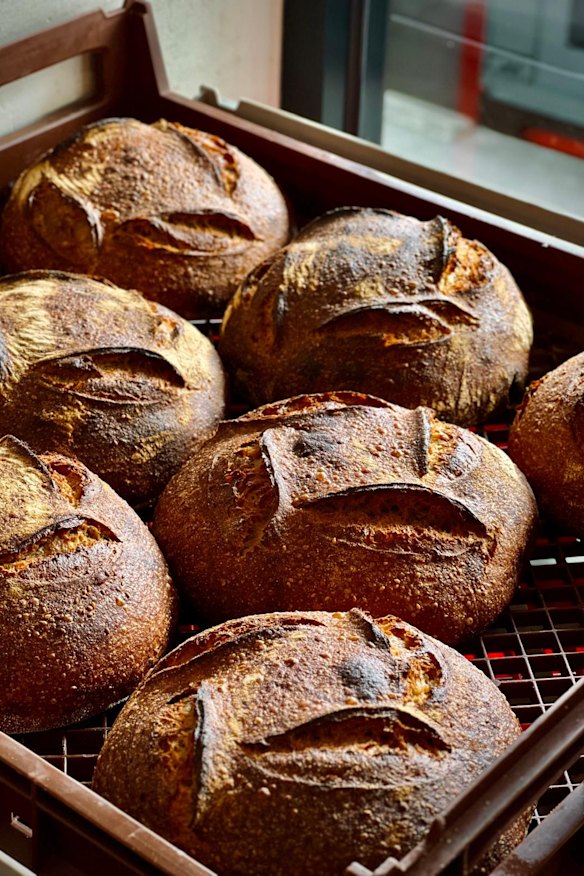 Fresh loaves at Zelda.