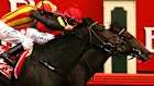 Japan’s Mixi has romped home like Delta Blues and Pop Rock in the 2006 Melbourne Cup. Or has it? 