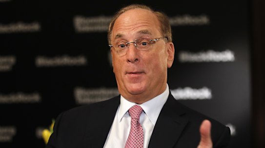 "We will see changes in capital allocation more quickly than we see changes to the climate itself," says star investor Larry Fink.