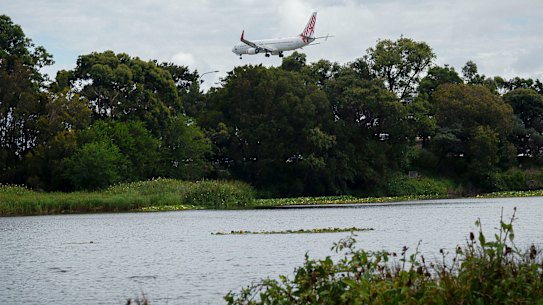 The engine pond at Sydney Airport.
