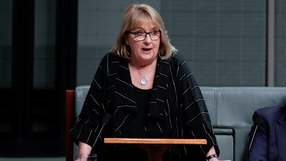 Labor MP Jenny Macklin delivers her valedictory speech to the House of Representatives in 2019. 