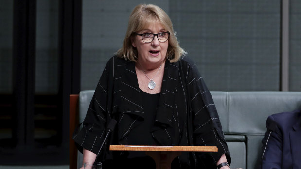 Labor MP Jenny Macklin delivers her valedictory speech to the House of Representatives in 2019. 