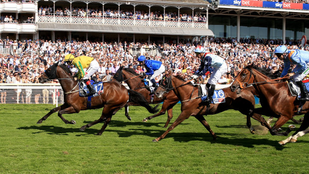 Mustajeer takes out the Ebor Handicap at York in August.