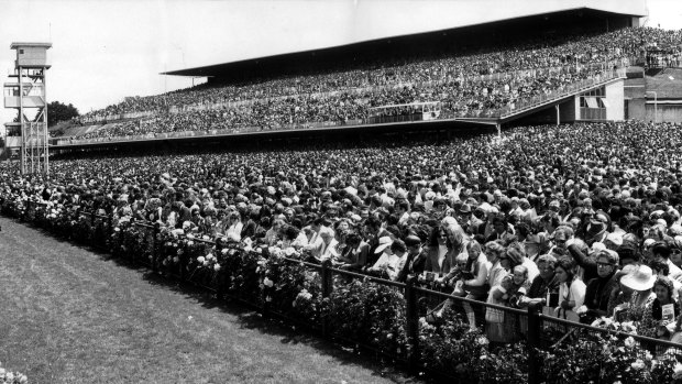 Huge crowds on the lawns and in the grandstands for the 1973 Melbourne Cup.