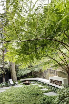 Quarry Box at Bronte celebrates an old magnificent tree and the rock escarpment that surrounds the new home.