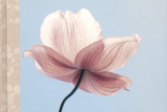 From the cover of The Constant Gardener, a botanical bible by Holly Kerr Forsyth.