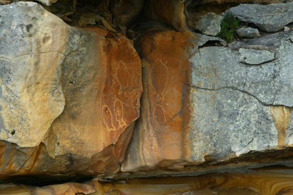 Aboriginal carvings seen by the Hawkesbury River.

