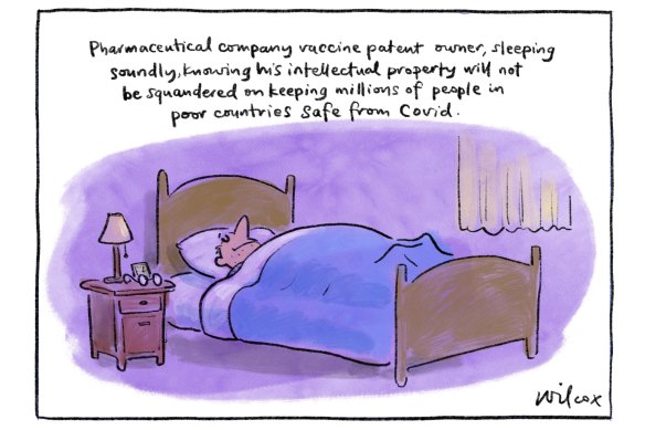 Illustration: Cathy Wilcox