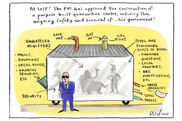 Illustration: Cathy Wilcox