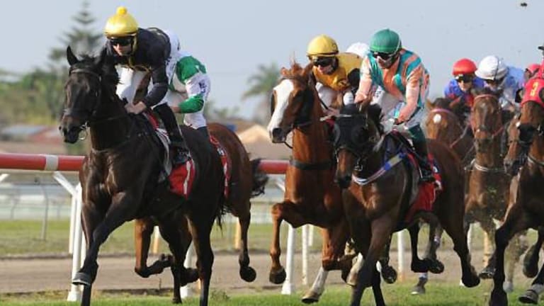 A good track is expected for Monday's seven-race card at Taree.