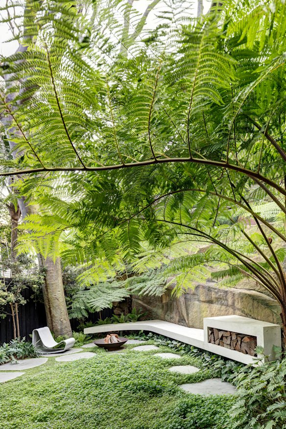 Quarry Box at Bronte celebrates an old magnificent tree and the rock escarpment that surrounds the new home.