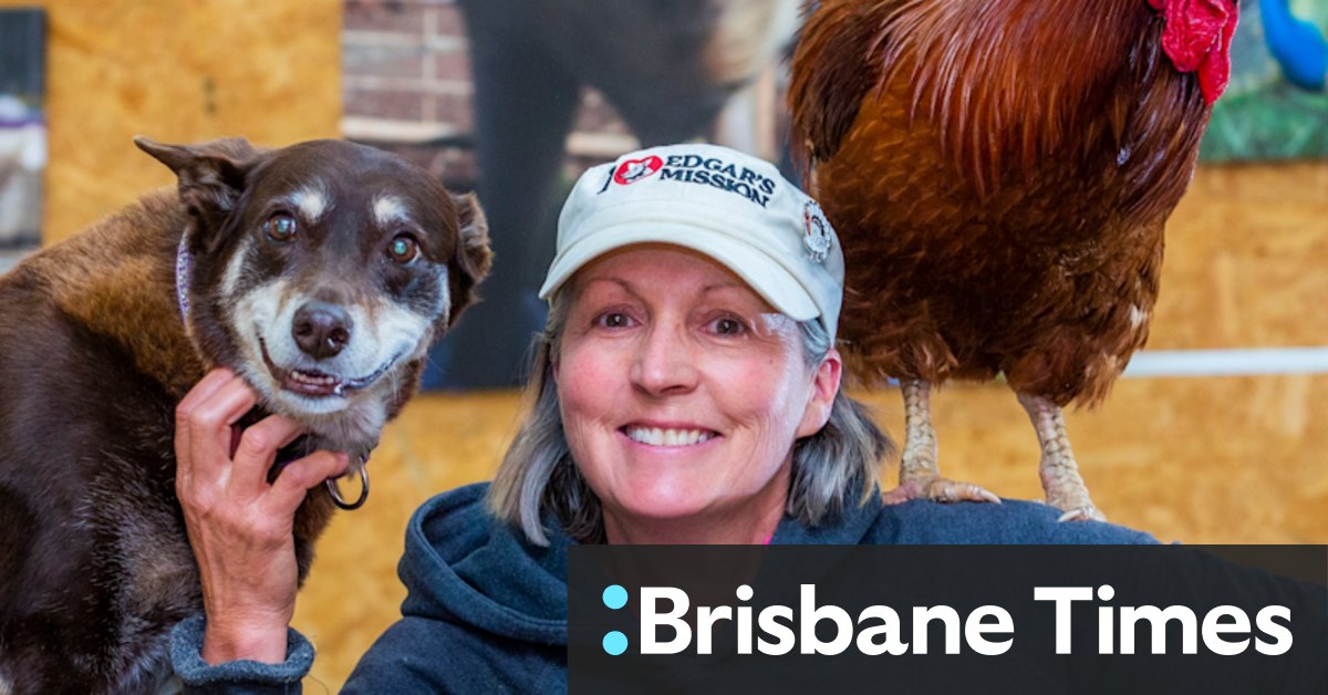 They form strong bonds with people: Pam Ahern's animal kingdom - Vimarsana News