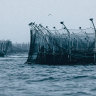 Salmon farming in Tasmania.