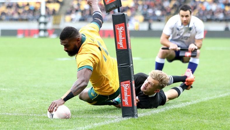 Bledisloe Cup 2020 Live Blog Highlights Updates Wallabies Vs All Blacks Rugby Test