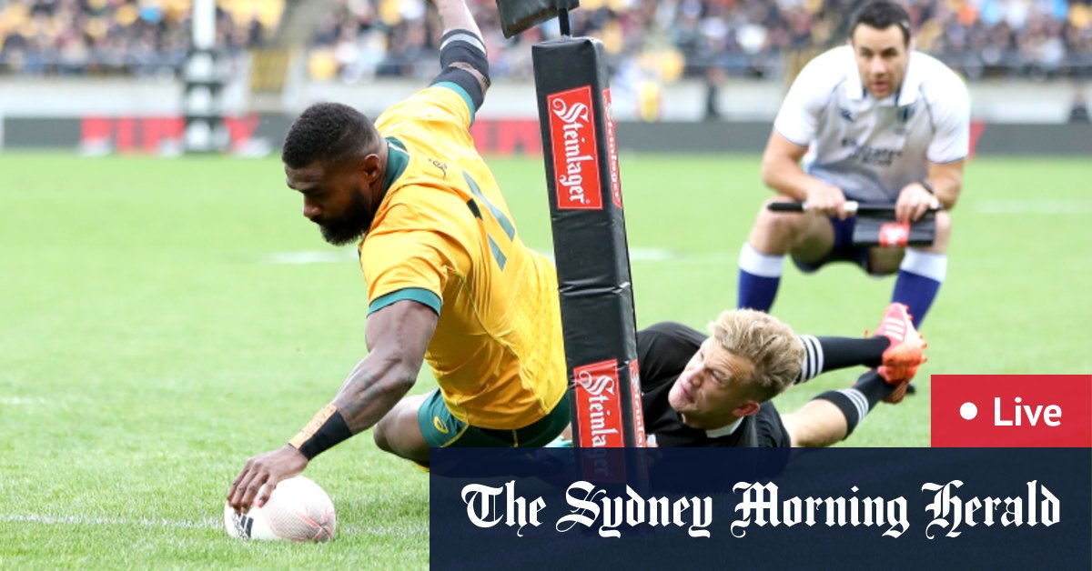 Bledisloe Cup 2020 Live Blog Highlights Updates Wallabies Vs All Blacks Rugby Test