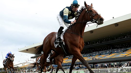 Sir Lucan winning the Winter Cup last year.