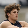 Why Charlie Curnow is facing a finals frontier, and how the All-Australian selectors got it so wrong