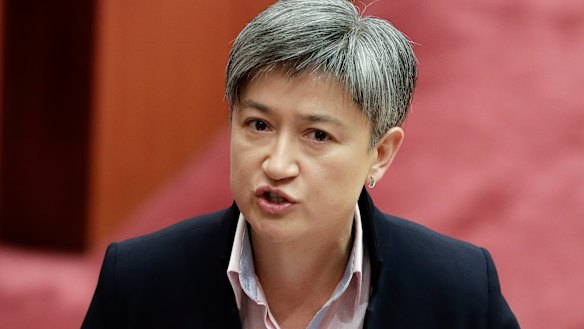 Labor Senator Penny Wong condemns a speech by Senator Fraser Anning.