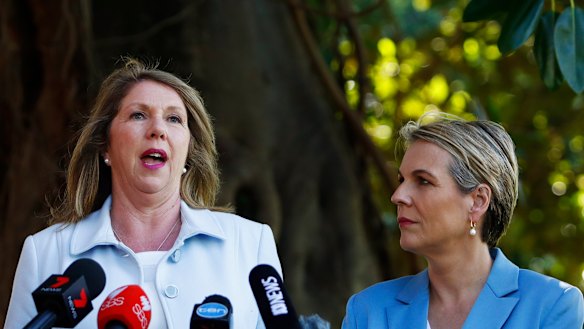 Catherine King and Tanya Plibersek have been developing a plan for women's reproductive health since the 2016 election. 