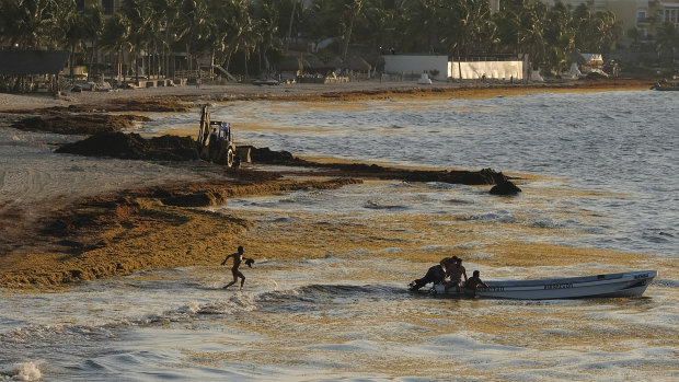 The shore where fishermen push their boat to sea in Playa del Carmen, Mexico. 