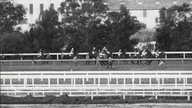 No barrier for Bart: The flag start of the 1984 Missile Stakes.