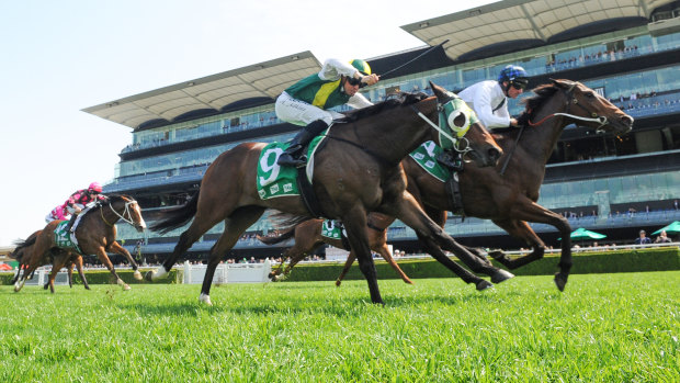Fair Dinkum (No.9),  pictured running  second to Marokawa in a Highway at Rosehill, goes around in race five.