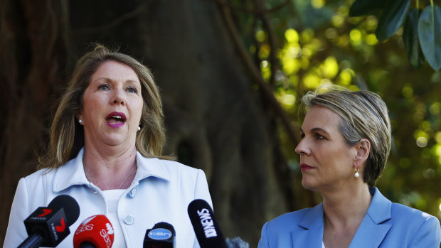 Catherine King and Tanya Plibersek have been developing a plan for women's reproductive health since the 2016 election. 