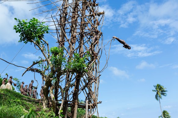 Traditional land diving, Pentecost, Vanuatu.