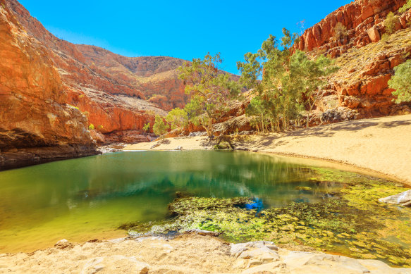 Hit Tjoritja at the right time of the year and the summer rains will have replenished waterholes.