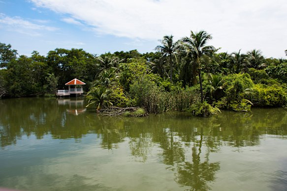 A jungle island oasis in the heart of Bangkok.
