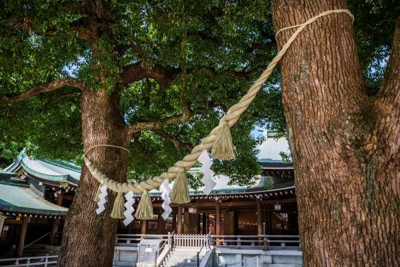 Couples visit the trees, bound with shimenawa rope, for good luck.